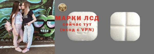ПСИЛОЦИБИНОВЫЕ ГРИБЫ Переславль-Залесский