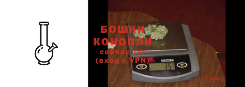 ПСИЛОЦИБИНОВЫЕ ГРИБЫ Переславль-Залесский