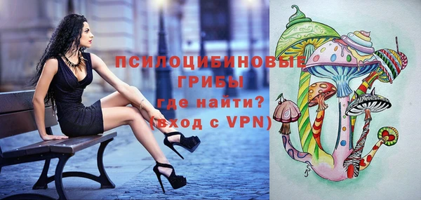 ПСИЛОЦИБИНОВЫЕ ГРИБЫ Переславль-Залесский