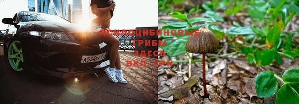 а пвп мука Пестово