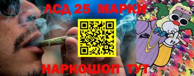 гидропоника Канаш