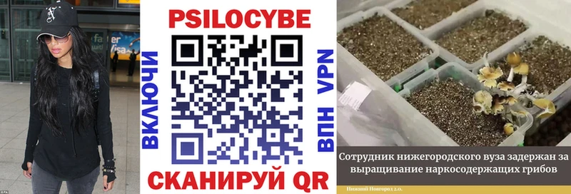 Псилоцибиновые грибы Magic Shrooms  mega как зайти  Рузаевка 