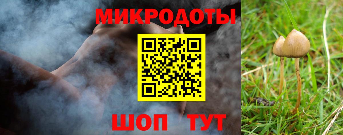 Галлюциногенные грибы Psilocybine cubensis  Рузаевка 